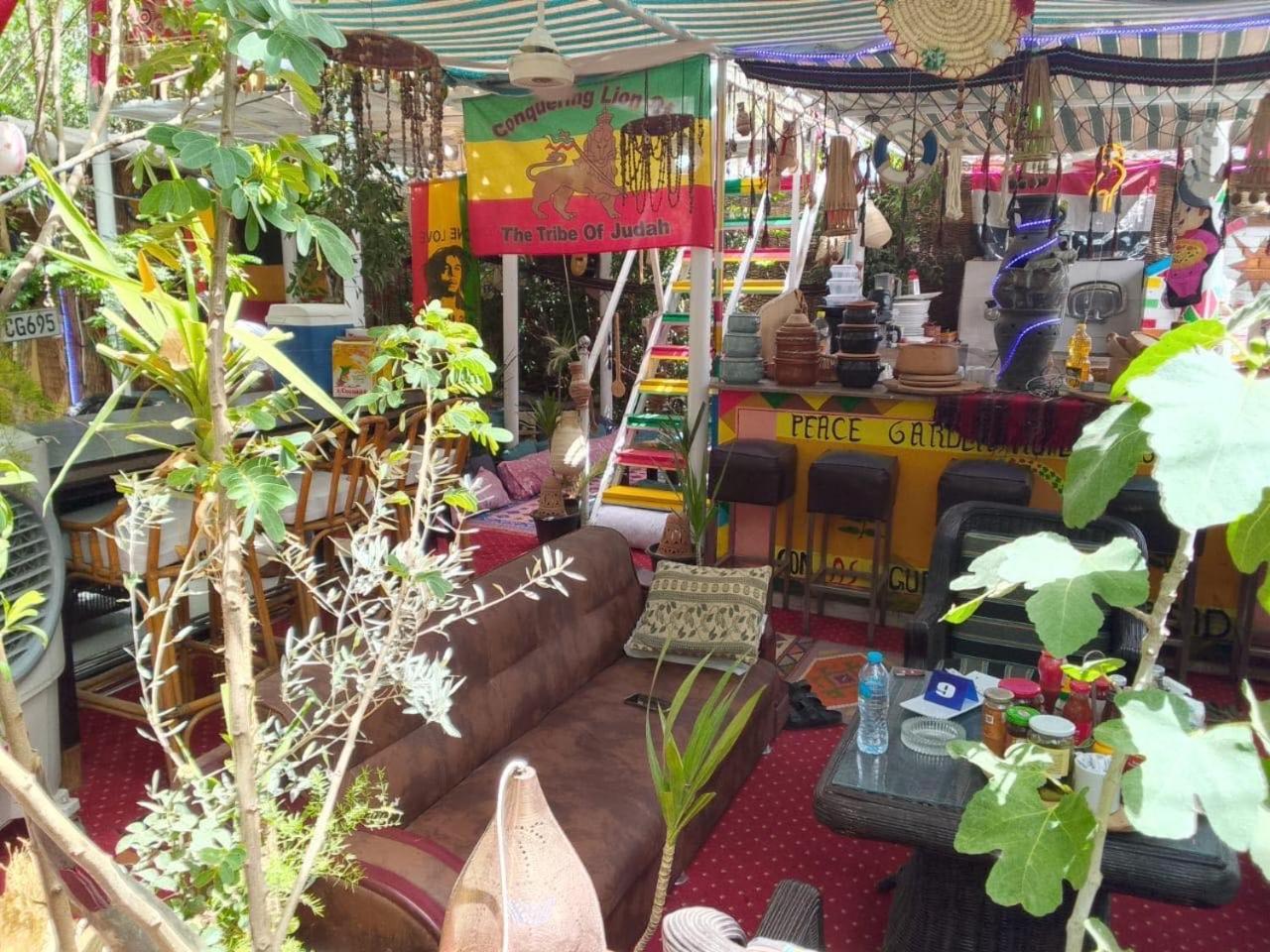 Peace Garden Hostel & Camp Luxor Exterior foto
